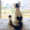 대표 사진