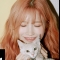 대표 사진
