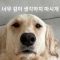 대표 사진