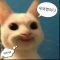 대표 사진