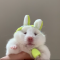 대표 사진