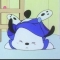 대표 사진
