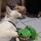 대표 사진