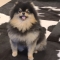대표 사진