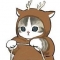 대표 사진