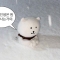 대표 사진