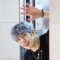 대표 사진