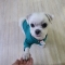 대표 사진