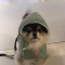 대표 사진