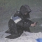 대표 사진