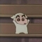 대표 사진