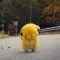 대표 사진