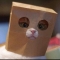 대표 사진