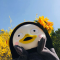 대표 사진