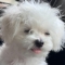 대표 사진