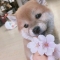 대표 사진