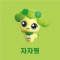 대표 사진