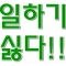 대표 사진