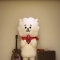 대표 사진