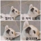 대표 사진