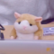 대표 사진