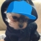 대표 사진