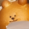 대표 사진