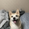 대표 사진