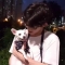대표 사진
