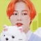 대표 사진