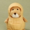 대표 사진