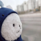 대표 사진