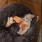 대표 사진