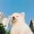 대표 사진