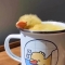 대표 사진
