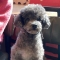 대표 사진