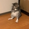 대표 사진