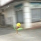 대표 사진