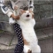 대표 사진