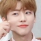 대표 사진