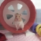 대표 사진