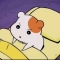 대표 사진