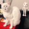 대표 사진