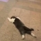 대표 사진