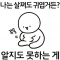 대표 사진