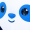 대표 사진