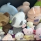 대표 사진
