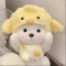 대표 사진