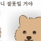 대표 사진