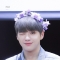 대표 사진